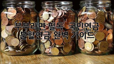 부부라면 필독! 🤝 국민연금 분할연금 완벽 가이드 💯