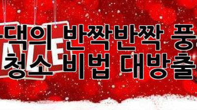 봉화댁의 ✨반짝반짝✨ 풍호리 청소 비법 대방출! 🏡