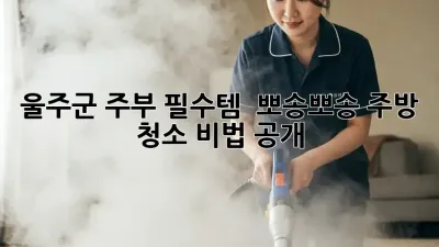 울주군 주부 필수템! ✨ 뽀송뽀송 주방 청소 비법 공개 🧼