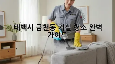 태백시 금천동 거실 청소✨ 완벽 가이드!